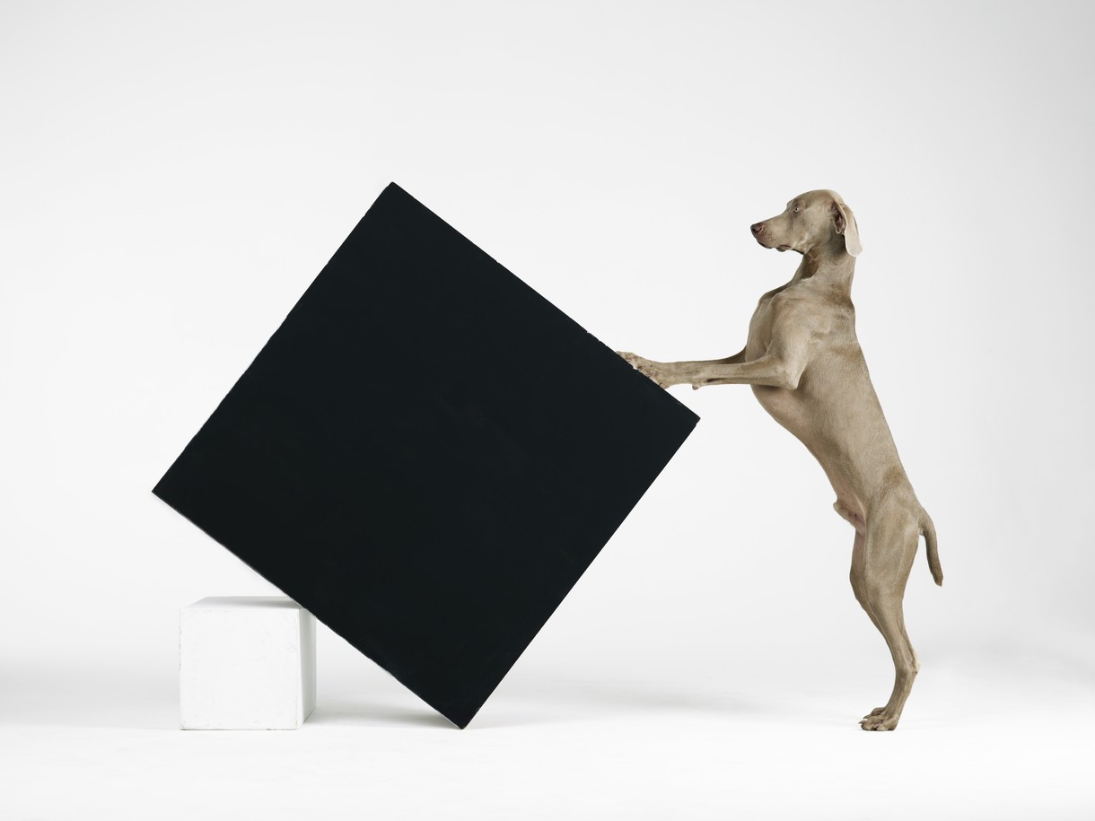 William Wegman: Being Human