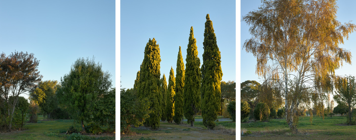 Tim J. Veling Halley Place, Avonside, 2015, Autumn 2015. Archival pigment print on gloss baryta paper. Collection of Christchurch Art Gallery Te Puna o Waiwhetū, purchased 2018