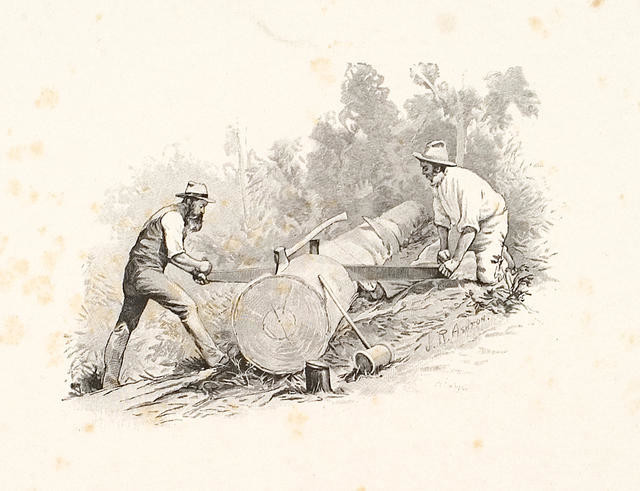 Men Sawing A Log