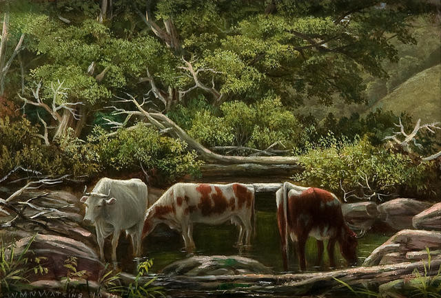 View In Akaroa With Cattle