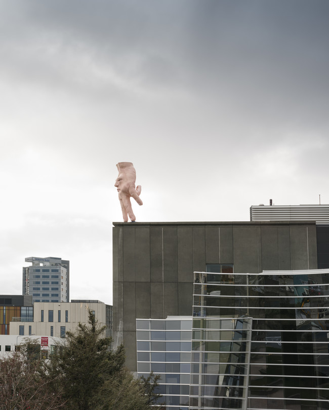 Ronnie van Hout Quasi 2016. Steel,polystyrene and resin. Commissioned byChristchurch Art Gallery Te Puna o Waiwhetū.Courtesy of the artist