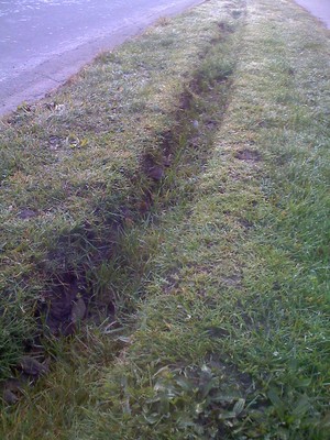 Quake-scarred grass verge, St Albans, Christchurch.