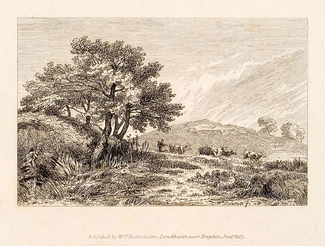 Cattle In Hilly Landscape With Trees At Left