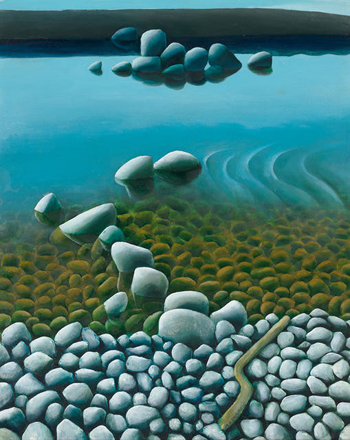 Whitebait Races