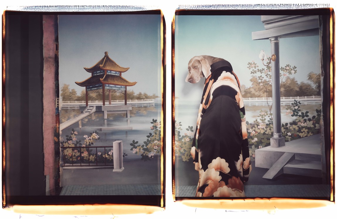 William Wegman Madame Butterfly 1997. Colour Polaroid photograph. Courtesy the artist. © William Wegman
