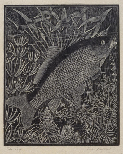 The Carp