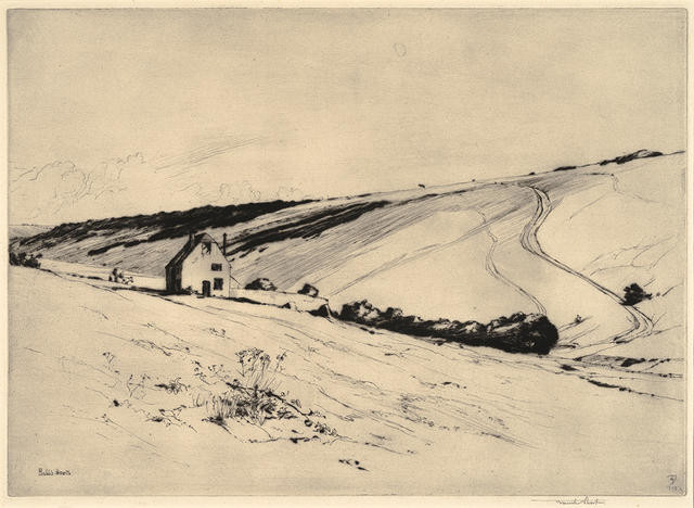 Hobb’s Hawth, South Downs (1923)