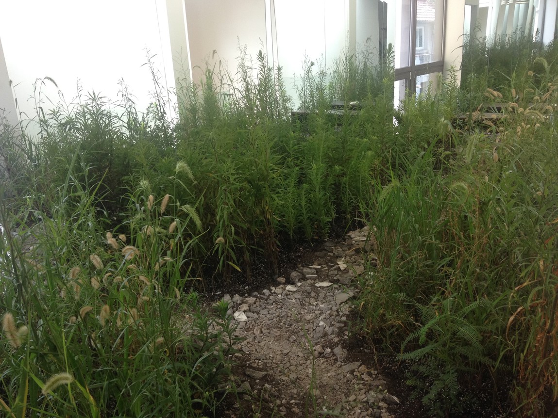 Installation view of Zheng Bo Weed Party at Leo Zu Projects. Photo: Sophie McKinnon