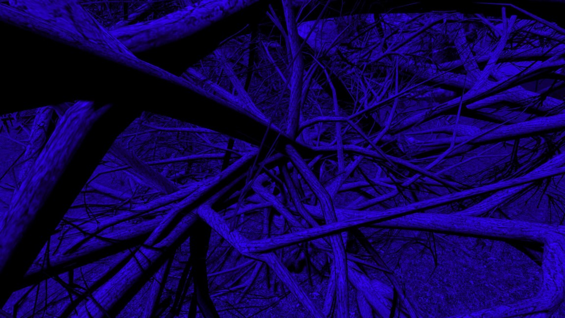 David Haines and Joyce Hinterding The Outlands (detail, still) 2011. Interactive digital projection, bespoke gaming software, computer, controllers, twigs, table. Collection of Art Gallery of NSW, Sydney. Anne Landa Award and Contemporary Collection Benefactors 2011