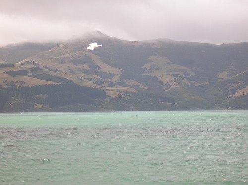 Looking across Akaroa Harbour from Wainui