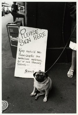 David Cook Petitioners, Chancery Arcade 1984. Photograph. Collection of Christchurch Art Gallery Te Puna o Waiwhetū, purchased 1987. Reproduced with permission