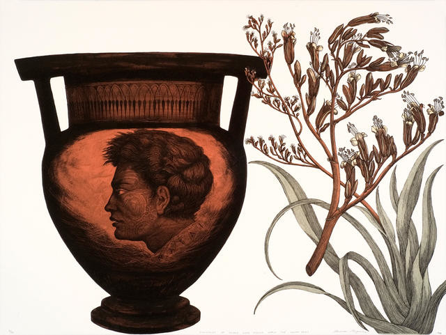 Examples of Flora and Fauna from the South Seas