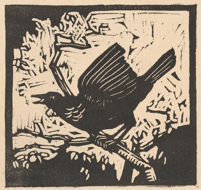 Tui