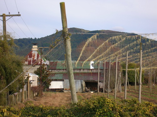 Hop Kiln, Riwaka