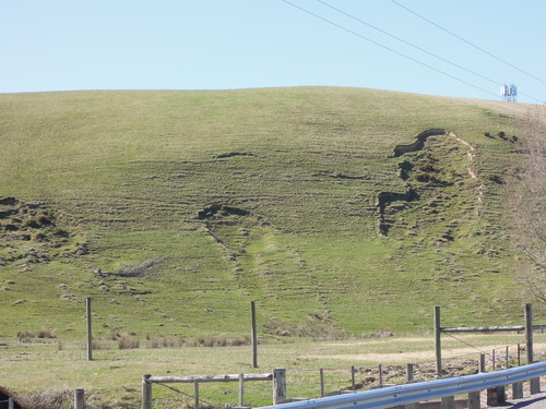 Whitecliffs, Canterbury