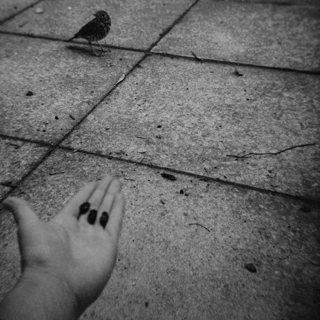 Holly Best Untitled 2013. Photograph